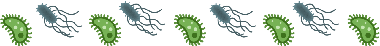 Illustrated pet parasites which require parasite education from Kokinos Veterinary Services