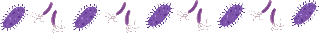 Pet parasite education from Kokinos Veterinary Services in Vernon, NY